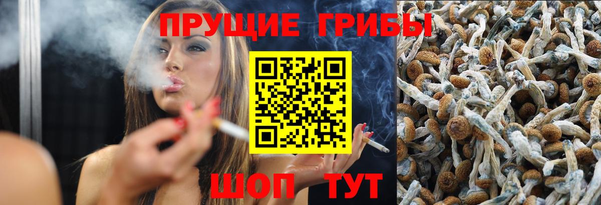 Галлюциногенные грибы мухоморы Зеленодольск