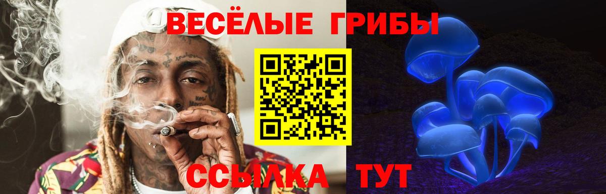 Зеленодольск  Псилоцибиновые грибы мицелий  магазин продажи   Вход с VPN  Псилоцибиновые грибы мицелий 